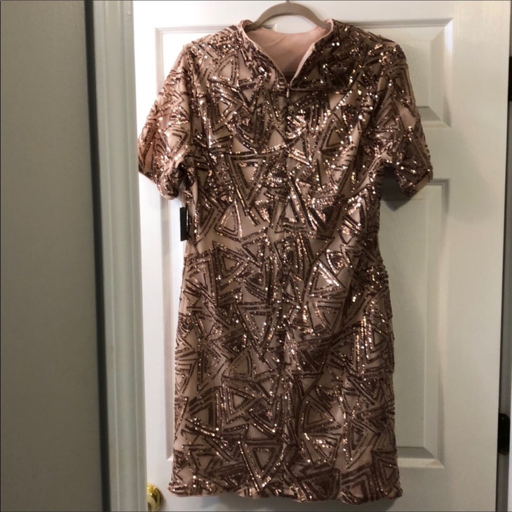 ❗️MOVING SALE ‼️Blush Sequin Dress